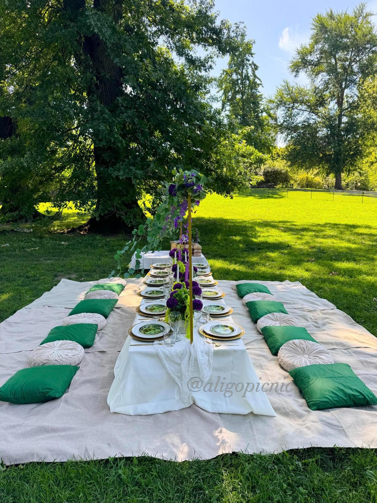 A long table with emerald and cream cushions, violet blooms and gold rimmed plates on a park lawn